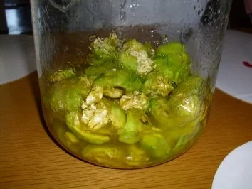 Walnusslikör - Rezept - Bild Nr. 2