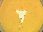 Scharfe Vichysoisse - Rezept