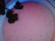 Radeischen-Frischkäse-Suppe - Rezept