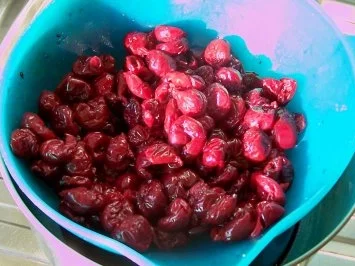 Backen: Sauerkirschkuchen mit versunkenen Früchten - Rezept - Bild Nr. 2