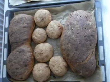 Rezept: Dinkel-Weißbrot oder -brötchen Bild Nr. 6 Dinkel-Weißbrot oder -brötchen - Rezept - Bild Nr. 6