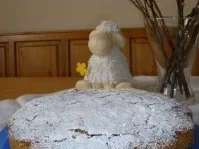 Zucchini-Macadamia-Nusskuchen - Rezept