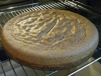 Biskuit:   traurige SCHMANDTORTE - Rezept - Bild Nr. 4