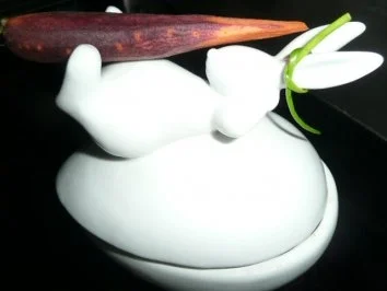 Rezept: WILD/ HASENTERRINE Bild Nr. 7 WILD/ HASENTERRINE - Rezept - Bild Nr. 7