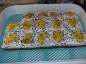 Stracciatella Pfirsich Schnitten - Rezept