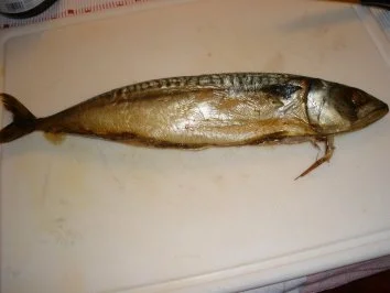 Rezept: Räucherfischsalat Bild Nr. 3 Räucherfischsalat - Rezept - Bild Nr. 3