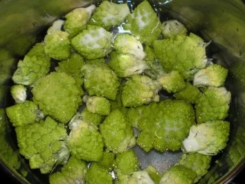 Makkaroni Kuchen an Tomatenschaum - Rezept - Bild Nr. 2