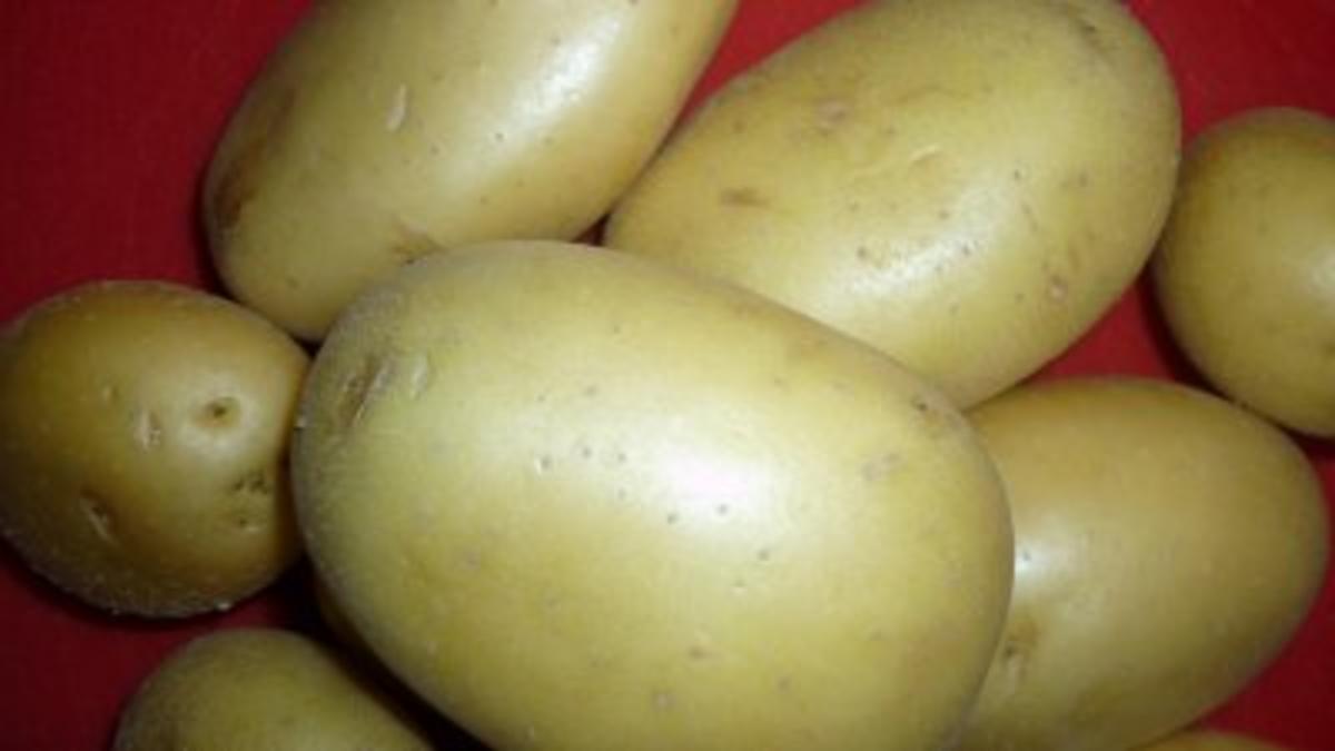 Parmesan-Panchetta-Reibekuchen an Spitzkohl-Kumquats-Salat - Rezept - Bild Nr. 7