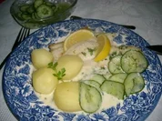 Rotbarsch mit Kräutersoße>> - Rezept