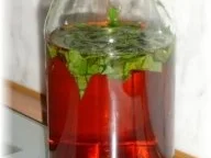 Öl/Essig - Bärlauch-Apfelessig - Rezept