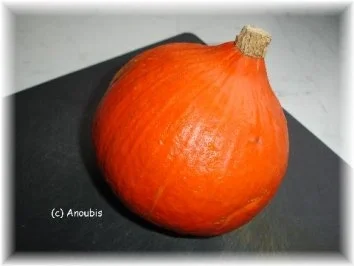 Hackfleischgericht - Risotto mit Kürbis und Hackfleisch - Rezept - Bild Nr. 2