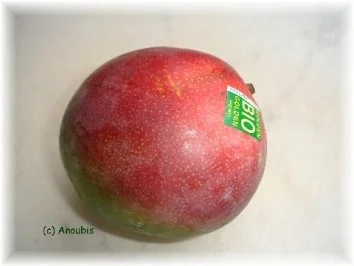 Dessert - Mangojoghurt - Rezept - Bild Nr. 2