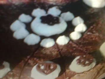 Schnelle Ostertorte - Rezept