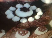 Schnelle Ostertorte - Rezept