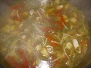 Rezept: Chinesische Hühnersuppe Bild Nr. 11 Chinesische Hühnersuppe - Rezept - Bild Nr. 11