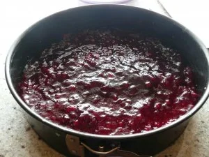 Rezept: Schneller Preiselbeerkuchen Bild Nr. 3 Schneller Preiselbeerkuchen - Rezept - Bild Nr. 3