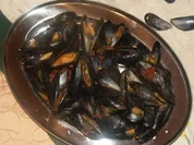 Miesmuscheln in Tomaten - Kapernsoße - Rezept