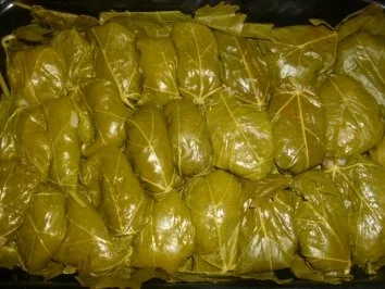 Gefüllte Weinblätter ~ Dolmadakia - Rezept - Bild Nr. 10