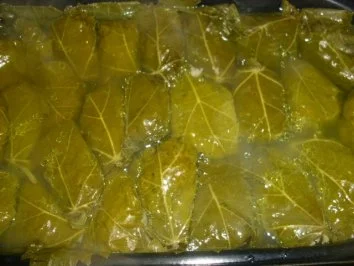 Gefüllte Weinblätter ~ Dolmadakia - Rezept - Bild Nr. 13