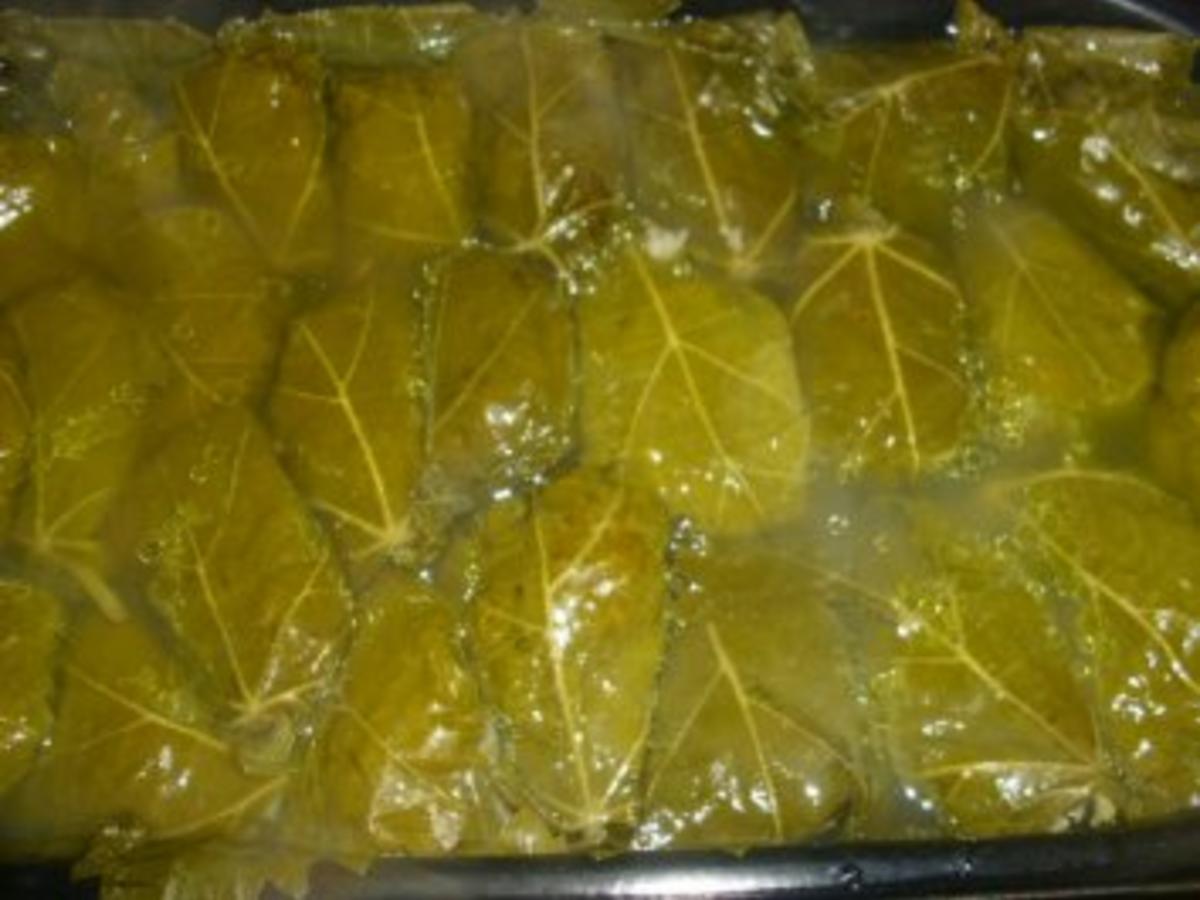 Gefüllte Weinblätter ~ Dolmadakia - einfach - von gabi-63