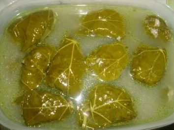 Gefüllte Weinblätter ~ Dolmadakia - Rezept - Bild Nr. 16
