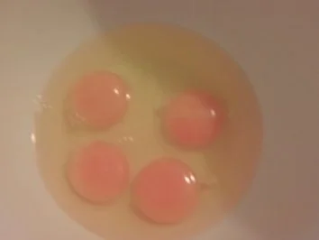 Walnusseis - Rezept - Bild Nr. 2