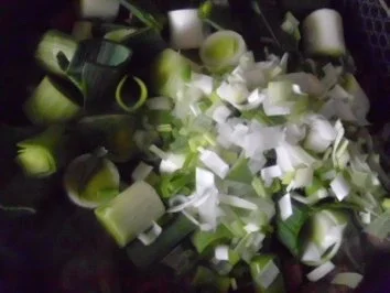 Gulasch mit Lauch aus der Pfanne ~ Xoirino Tigania - Rezept - Bild Nr. 9