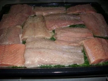 Rezept: Teufelchens Lachs auf Spinatbett mit Hollandaise gratiniert Teufelchens Lachs auf Spinatbett mit Hollandaise gratiniert - Rezept