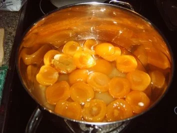 Aprikosen-Torte mit Schuss - Rezept - Bild Nr. 2