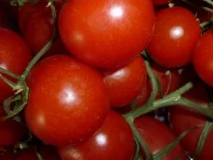 Buntes Gemüserührei - Rezept - Bild Nr. 5