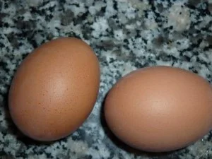 Buntes Gemüserührei - Rezept - Bild Nr. 2