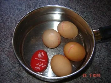 Salate : Spargelsalat mit Eiern - Rezept - Bild Nr. 2