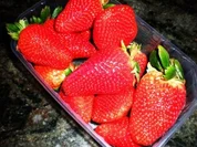 DESSERT: Kokos-Erdbeer-Becher - Rezept