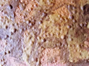 Backen: Papageienkuchen - Rezept - Bild Nr. 5