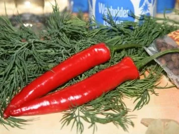 Rezept: Soleier auf die Schnelle Bild Nr. 4 Soleier auf die Schnelle - Rezept - Bild Nr. 4