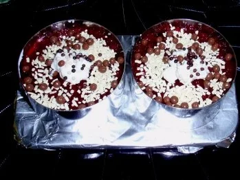 Früchte-Sahne-Dessert - Rezept - Bild Nr. 6