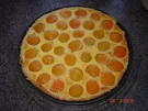 Kuchen + Torten : Schneller Aprikosentarte - Rezept