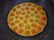 Kuchen + Torten : Schneller Aprikosentarte - Rezept