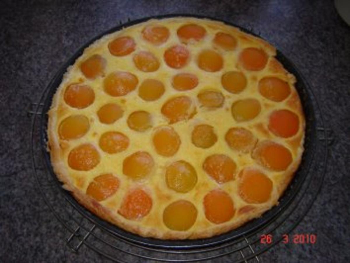 Bilder für Kuchen + Torten : Schneller Aprikosentarte - Rezept