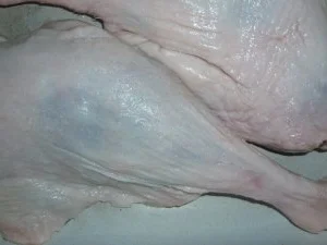 Orangige Gänsekeulen mit Maronen-Dattelsauce an Salzkartoffeln - Rezept - Bild Nr. 3