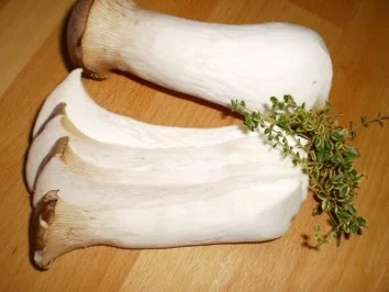 Schweinefilet gefüllt , mit Selleriesoße und  Kräutersaitlingen - Rezept - Bild Nr. 2