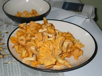 Pfifferlinge für Feinschmecker - Rezept - Bild Nr. 2