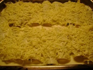 Rezept: Fisch: Spinat Cannelloni Bild Nr. 5 Fisch: Spinat Cannelloni - Rezept - Bild Nr. 5