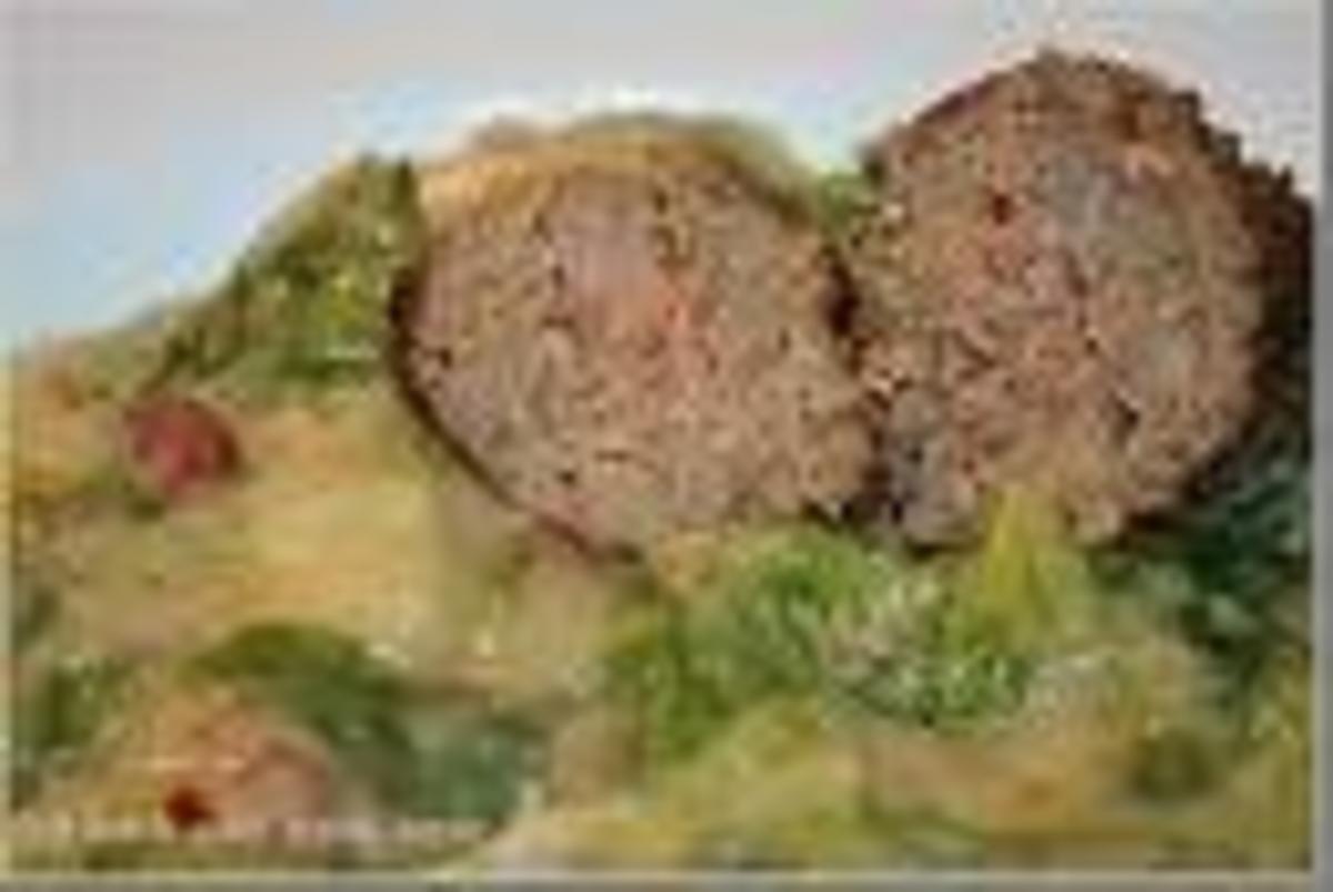 Frikadellen mit Kartoffeln und Endiviensalat - Rezept