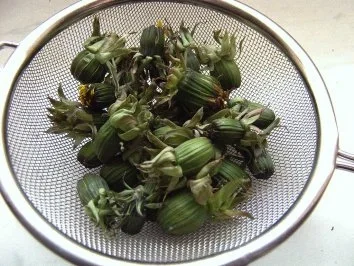 Löwenzahnknospengemüse - Rezept - Bild Nr. 4