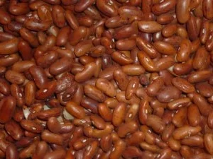 Wachtelbohnensuppe mit Hack - Rezept - Bild Nr. 5