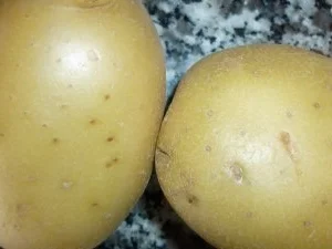 Wachtelbohnensuppe mit Hack - Rezept - Bild Nr. 7