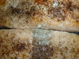 Rezept: Lachs mit Orangen- Ziegenkäserahm an Fussili Lunghi und Pernod-Schalotten Bild Nr. 2 Lachs mit Orangen- Ziegenkäserahm an Fussili Lunghi und Pernod-Schalotten - Rezept - Bild Nr. 2