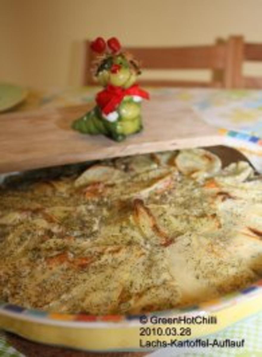 Lachs-Kartoffelgratin mit frischen Dillspitzen (mit Bildern und Raupi) - Rezept - Bild Nr. 2