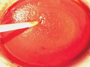 Tomatensauce wie aus der DDR-Schulküche - Rezept - Bild Nr. 2